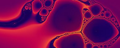 Neurology Newsletter December 2024