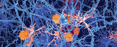 Neurosciences Newsletter January 2025