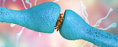 February Neurology Newsletter