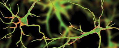 Neurology September 2025